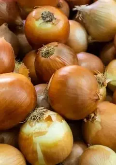 Лук