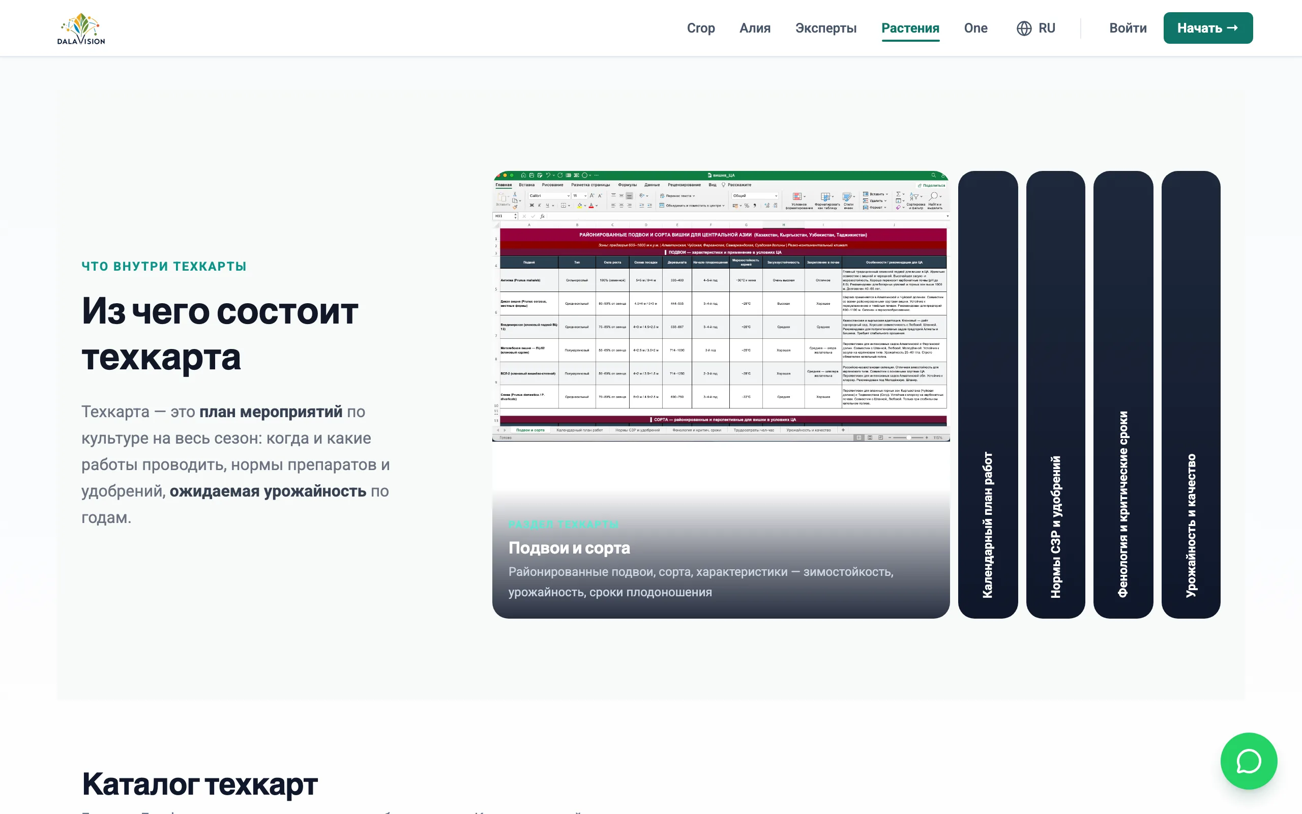 Технологическая карта культуры на весь сезон
